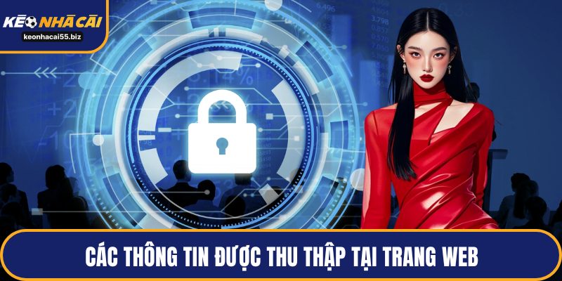 Các thông tin được thu thập tại trang web
