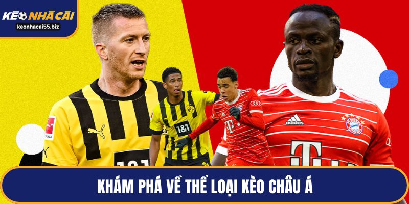 Khám phá về thể loại kèo châu Á
