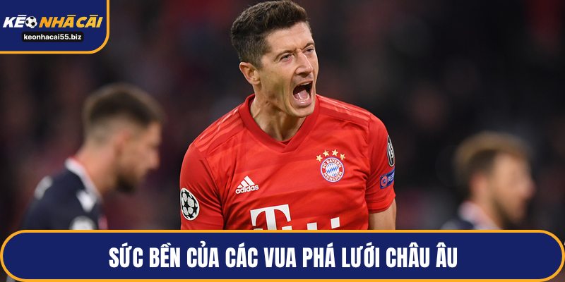 Sức bền của các vua phá lưới châu Âu