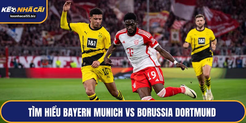 Tìm hiểu Bayern Munich vs Borussia Dortmund | 03/11 – 00:30