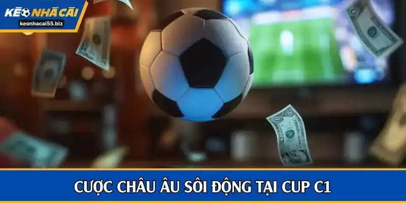 1X2 mang đến lợi nhuận ròng đáng kể cho nhà đầu tư