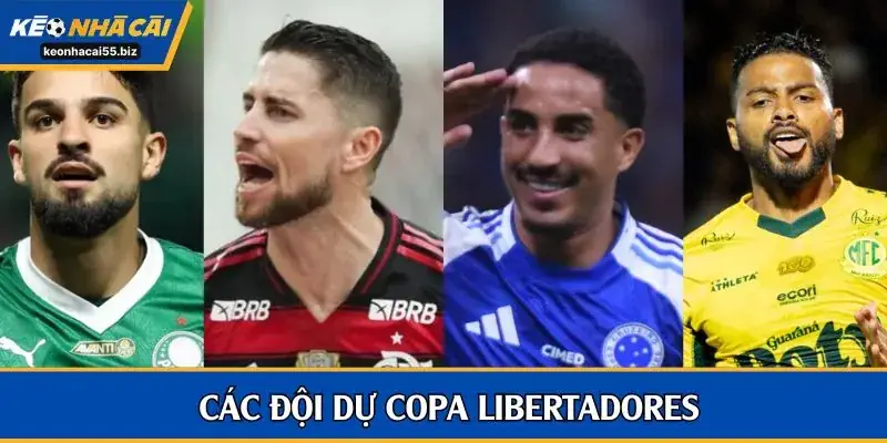 Các đội mạnh của Serie A Betano dự cúp châu lục