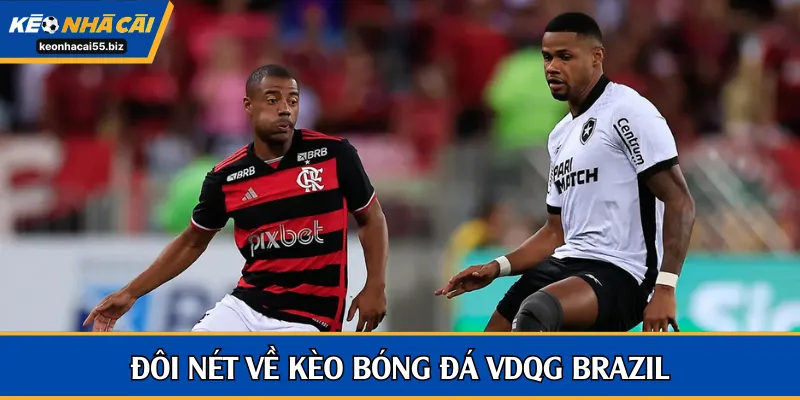 Đôi nét về kèo bóng đá VĐQG Brazil