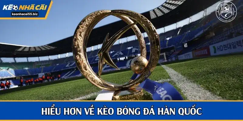 Kèo bóng đá Hàn Quốc là cơ hội đầu tư