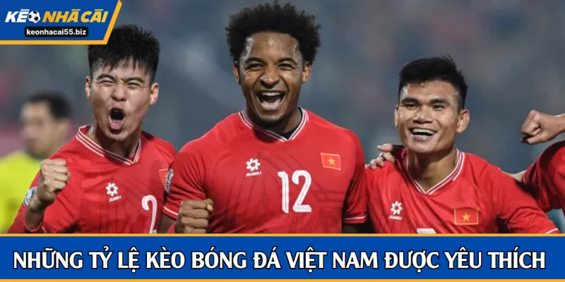 Những tỷ lệ kèo bóng đá Việt Nam được yêu thích nhất