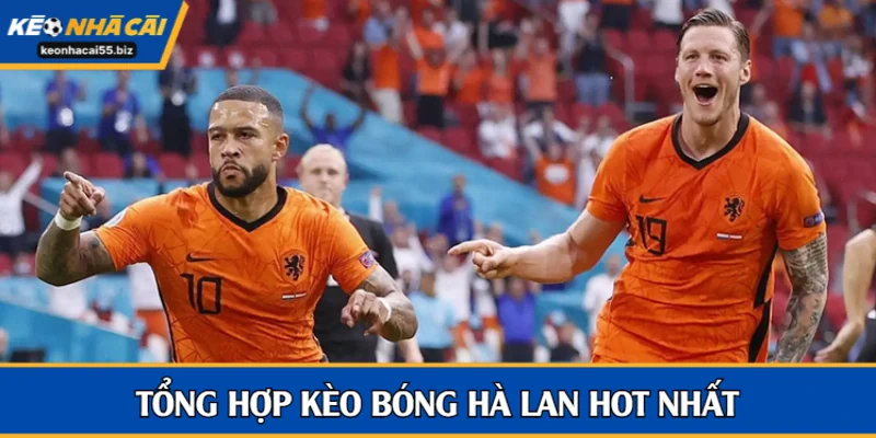 Tổng hợp kèo bóng Hà Lan hot nhất
