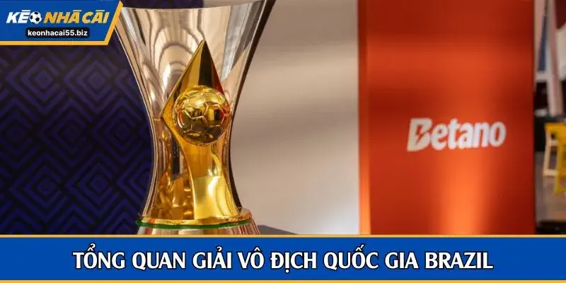 Tổng quan về giải Serie A Brazil Betano