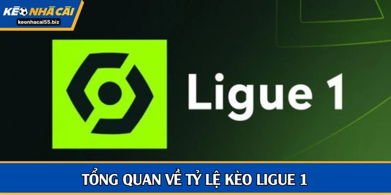 Tổng quan về tỷ lệ kèo Ligue 1