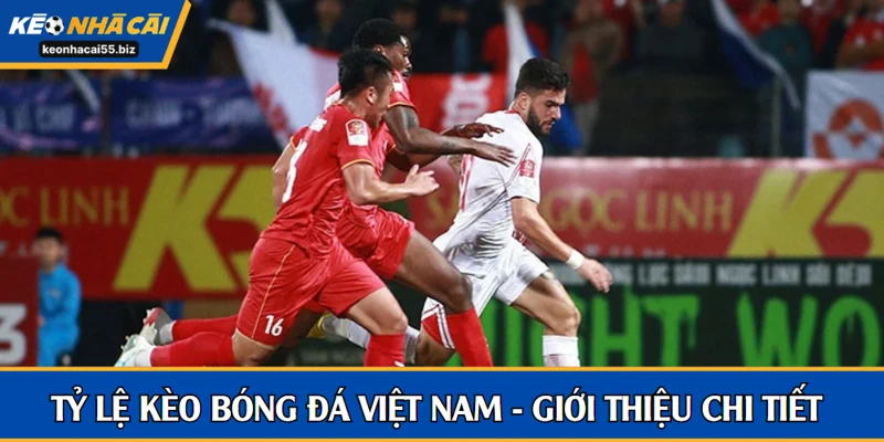 tỷ lệ kèo bóng đá việt nam